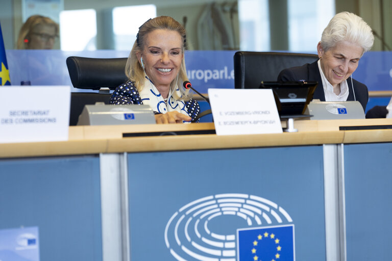 TRAN SEDE - Public Hearing on Military mobility