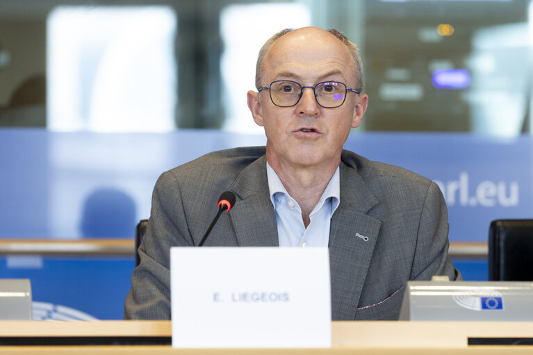 TRAN SEDE - Public Hearing on Military mobility