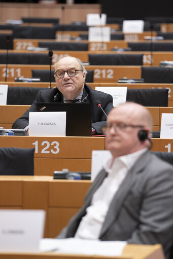 BUDG Committee meeting - Value Added Tax fraud on imports