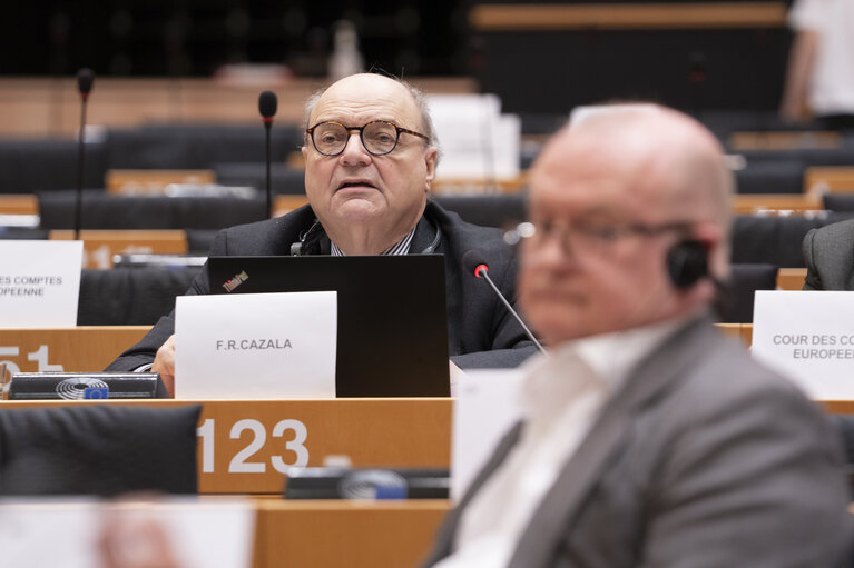 BUDG Committee meeting - Value Added Tax fraud on imports