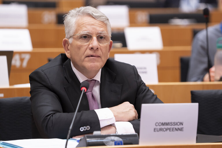 BUDG Committee meeting - Value Added Tax fraud on imports