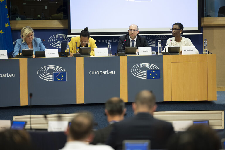 Delegation to the Africa-EU Parliamentary Assembly extraordinary meeting - Exchange of views on the sustainable management of Raw Materials in the Democratic Republic of Congo (DRC)