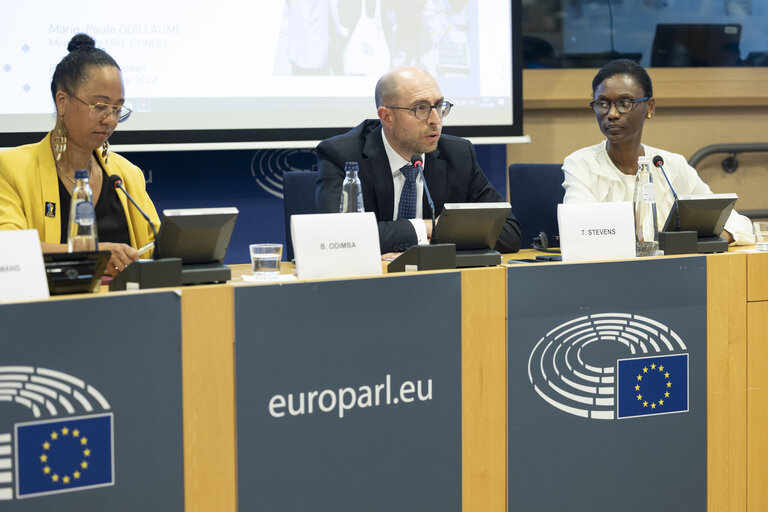 Delegation to the Africa-EU Parliamentary Assembly extraordinary meeting - Exchange of views on the sustainable management of Raw Materials in the Democratic Republic of Congo (DRC)