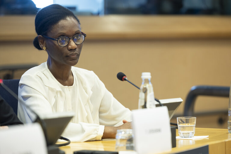 Delegation to the Africa-EU Parliamentary Assembly extraordinary meeting - Exchange of views on the sustainable management of Raw Materials in the Democratic Republic of Congo (DRC)