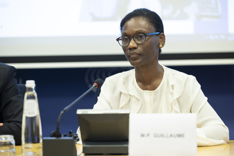 Delegation to the Africa-EU Parliamentary Assembly extraordinary meeting - Exchange of views on the sustainable management of Raw Materials in the Democratic Republic of Congo (DRC)