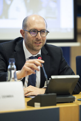 Delegation to the Africa-EU Parliamentary Assembly extraordinary meeting - Exchange of views on the sustainable management of Raw Materials in the Democratic Republic of Congo (DRC)