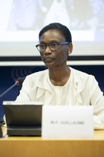 Delegation to the Africa-EU Parliamentary Assembly extraordinary meeting - Exchange of views on the sustainable management of Raw Materials in the Democratic Republic of Congo (DRC)