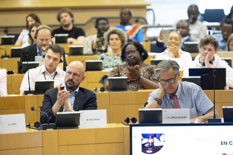 Delegation to the Africa-EU Parliamentary Assembly extraordinary meeting - Exchange of views on the sustainable management of Raw Materials in the Democratic Republic of Congo (DRC)