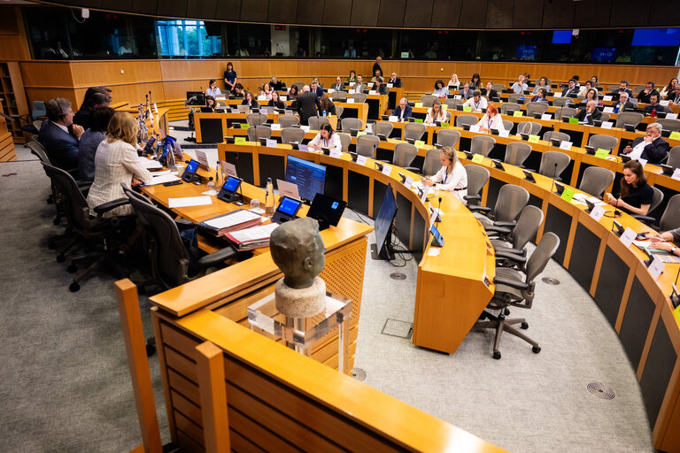PETI Committee meeting - Exchange of views with Maroš Šefčovič, Commissioner for
Trade and Economic Security and for Interinstitutional
Relations and Transparency
