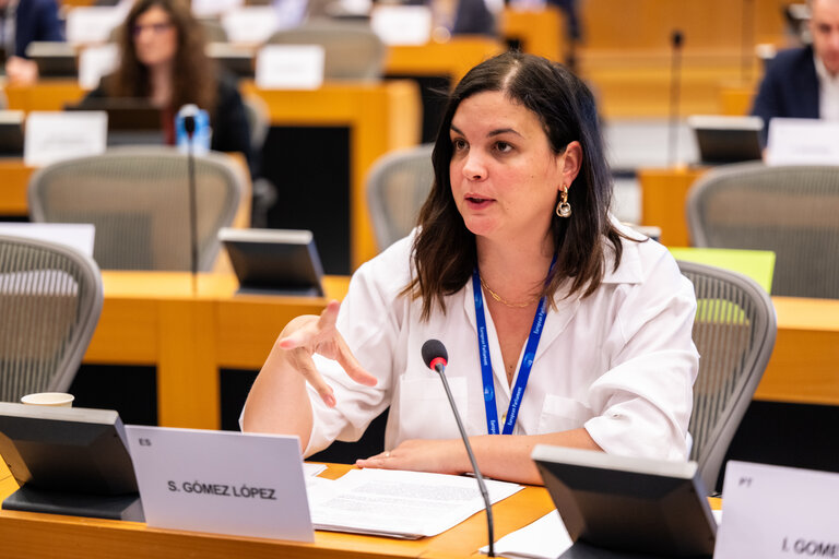 PETI Committee meeting - Exchange of views with Maroš Šefčovič, Commissioner for
Trade and Economic Security and for Interinstitutional
Relations and Transparency
