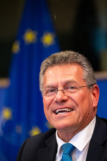 PETI Committee meeting - Exchange of views with Maroš Šefčovič, Commissioner for
Trade and Economic Security and for Interinstitutional
Relations and Transparency