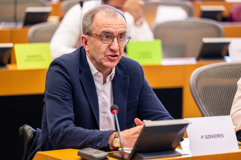 PETI Committee meeting - Exchange of views with Maroš Šefčovič, Commissioner for
Trade and Economic Security and for Interinstitutional
Relations and Transparency
