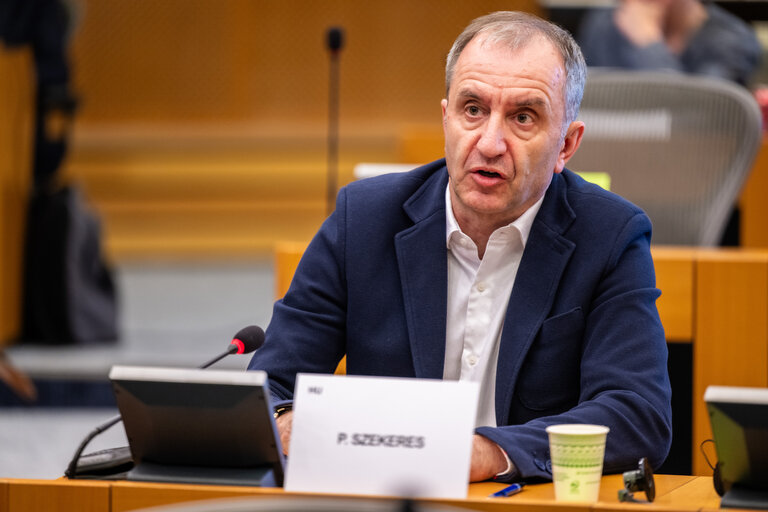 PETI Committee meeting - Exchange of views with Maroš Šefčovič, Commissioner for
Trade and Economic Security and for Interinstitutional
Relations and Transparency