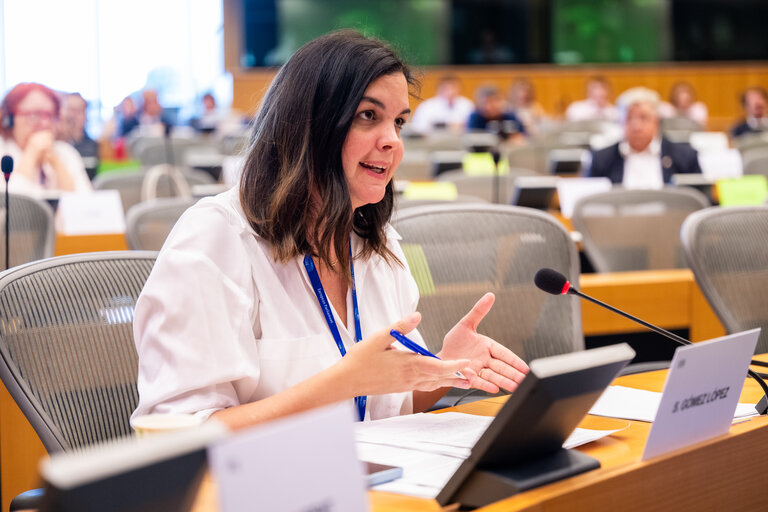 PETI Committee meeting - Exchange of views with Maroš Šefčovič, Commissioner for
Trade and Economic Security and for Interinstitutional
Relations and Transparency