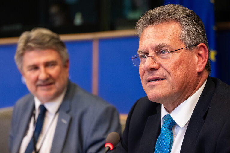 PETI Committee meeting - Exchange of views with Maroš Šefčovič, Commissioner for
Trade and Economic Security and for Interinstitutional
Relations and Transparency