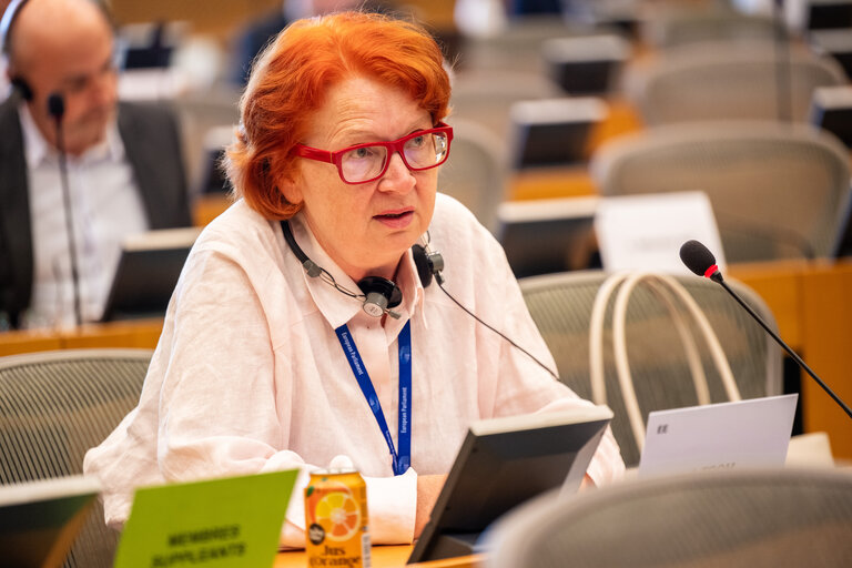 PETI Committee meeting - Exchange of views with Maroš Šefčovič, Commissioner for
Trade and Economic Security and for Interinstitutional
Relations and Transparency