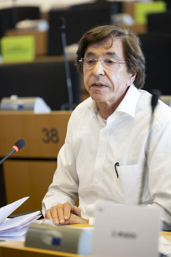 TRAN SEDE - Public Hearing on Military mobility