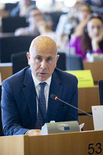 TRAN SEDE - Public Hearing on Military mobility