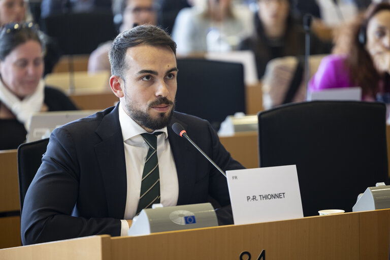 TRAN SEDE - Public Hearing on Military mobility