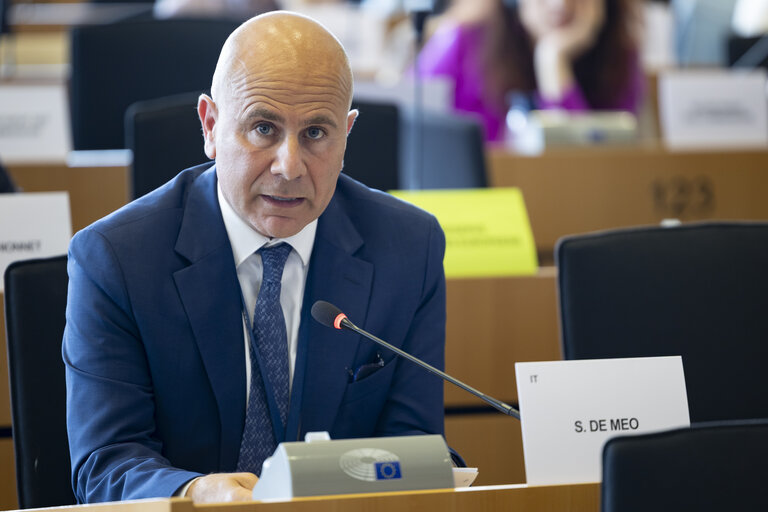 TRAN SEDE - Public Hearing on Military mobility