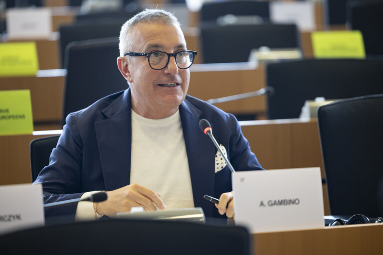 TRAN SEDE - Public Hearing on Military mobility