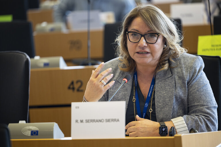 TRAN SEDE - Public Hearing on Military mobility