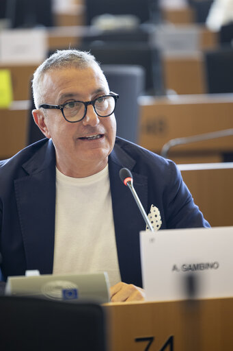 TRAN SEDE - Public Hearing on Military mobility