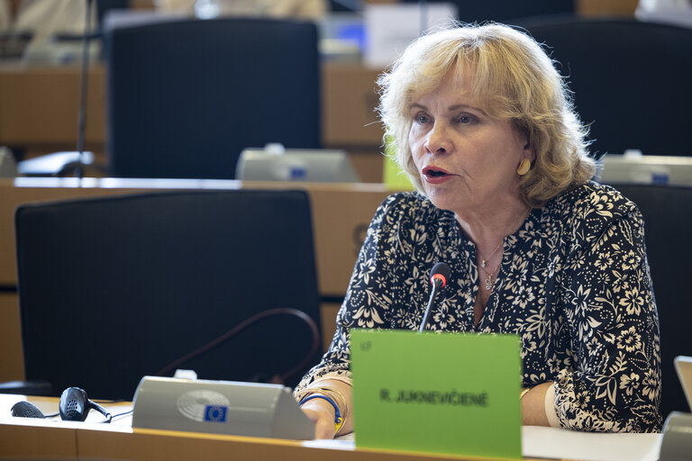 TRAN SEDE - Public Hearing on Military mobility