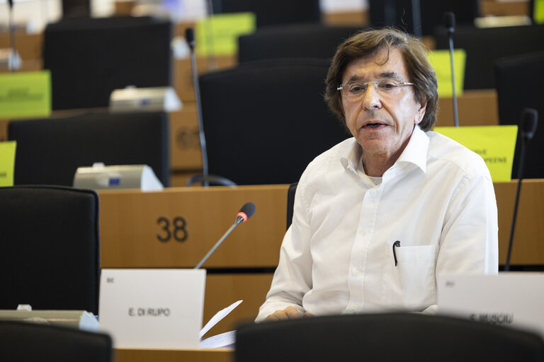 TRAN SEDE - Public Hearing on Military mobility