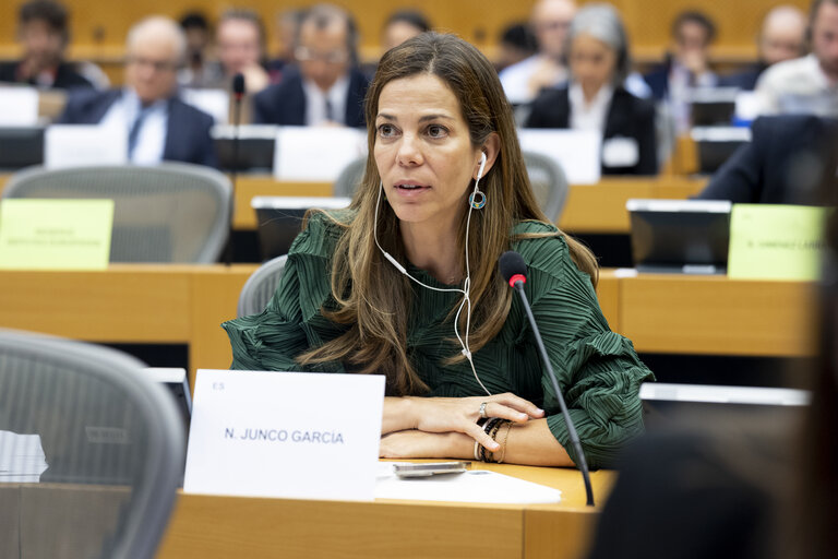 HOUS - Meeting on Affordable Housing Regional and Local authorities perspectives