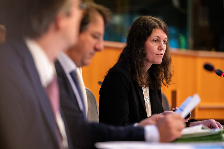 Foto 10: FISC - Workshop on ' Tax incentives and investments in the EU: best practices and ways to stimulate private investments and prevent harmful tax practices '