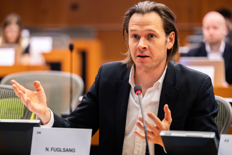 Foto 5: FISC - Workshop on ' Tax incentives and investments in the EU: best practices and ways to stimulate private investments and prevent harmful tax practices '