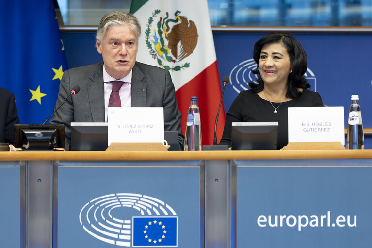 31st EU-Mexico Joint Parliamentary Committee meeting