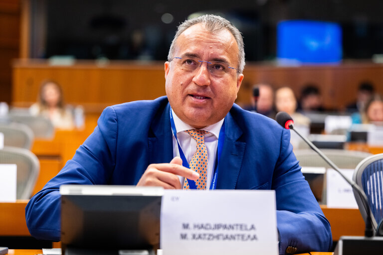 FISC - Public hearing on ' The future of EU anti-avoidance tax rules, including simplification '