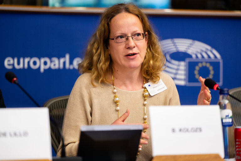 Photo 9 : FISC - Public hearing on ' The future of EU anti-avoidance tax rules, including simplification '