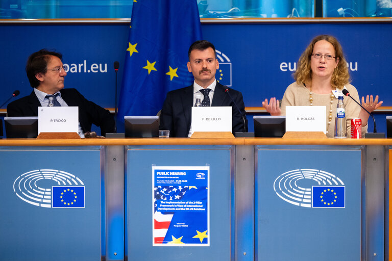 Photo 6 : FISC - Public hearing on ' The future of EU anti-avoidance tax rules, including simplification '