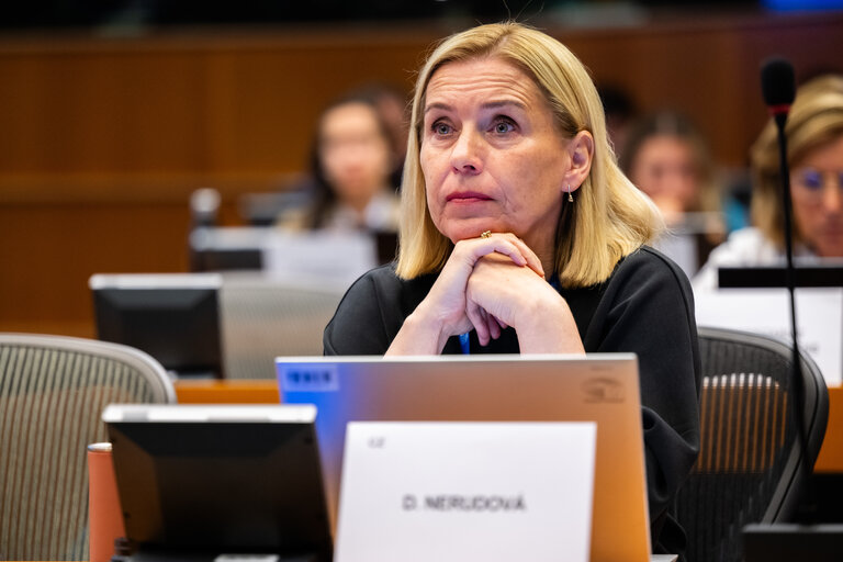 FISC - Public hearing on ' The future of EU anti-avoidance tax rules, including simplification '