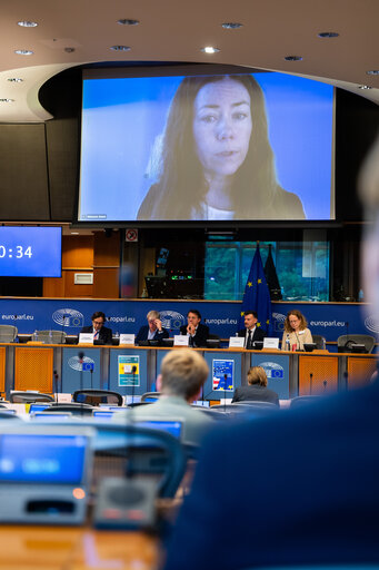 Photo 11 : FISC - Public hearing on ' The future of EU anti-avoidance tax rules, including simplification '