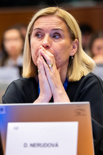 FISC - Public hearing on ' The future of EU anti-avoidance tax rules, including simplification '