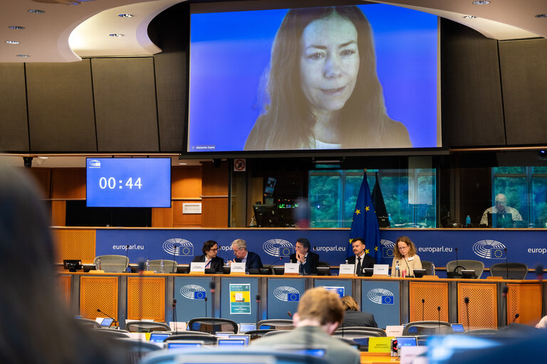 Photo 13 : FISC - Public hearing on ' The future of EU anti-avoidance tax rules, including simplification '
