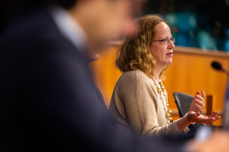 Photo 7 : FISC - Public hearing on ' The future of EU anti-avoidance tax rules, including simplification '