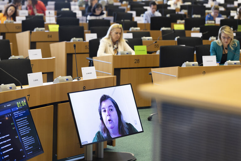 TRAN - Tourism Task Force - Industrial Policies for European Tourism Competitiveness