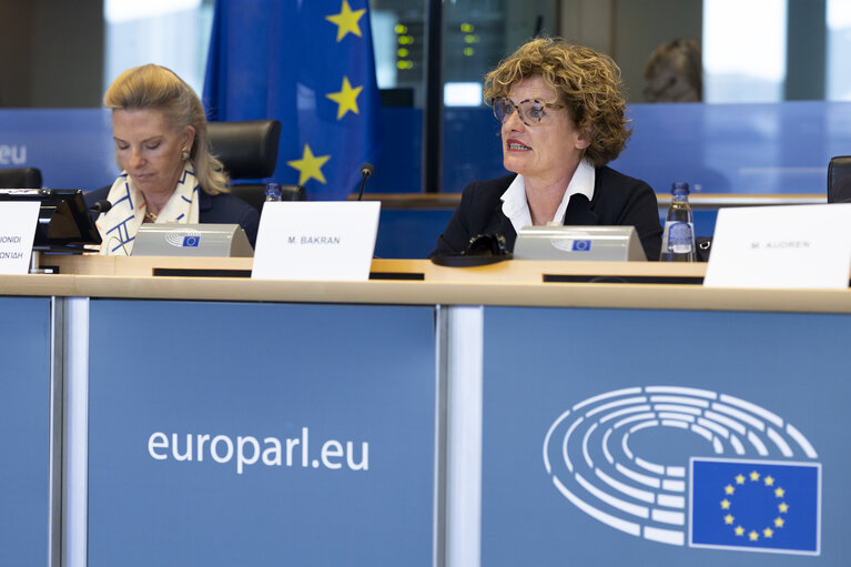 Fotó 20: TRAN - Tourism Task Force - Industrial Policies for European Tourism Competitiveness