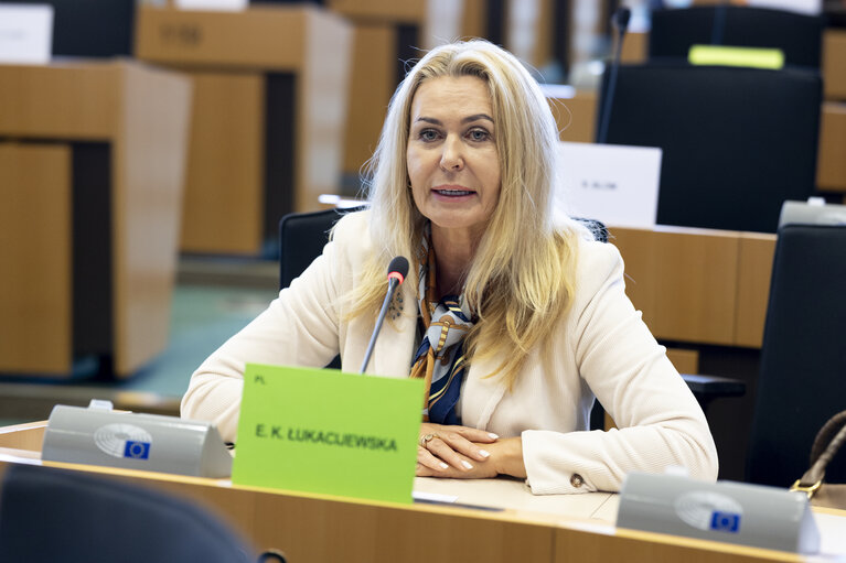 Fotó 5: TRAN - Tourism Task Force - Industrial Policies for European Tourism Competitiveness