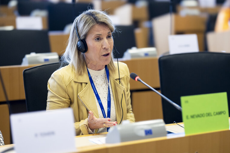 Fotó 4: TRAN - Tourism Task Force - Industrial Policies for European Tourism Competitiveness
