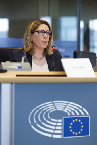 Fotó 13: TRAN - Tourism Task Force - Industrial Policies for European Tourism Competitiveness