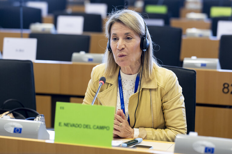 Fotó 3: TRAN - Tourism Task Force - Industrial Policies for European Tourism Competitiveness