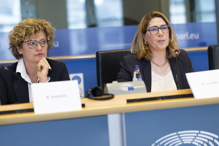 Fotó 14: TRAN - Tourism Task Force - Industrial Policies for European Tourism Competitiveness
