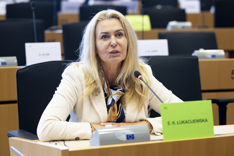 Fotó 6: TRAN - Tourism Task Force - Industrial Policies for European Tourism Competitiveness