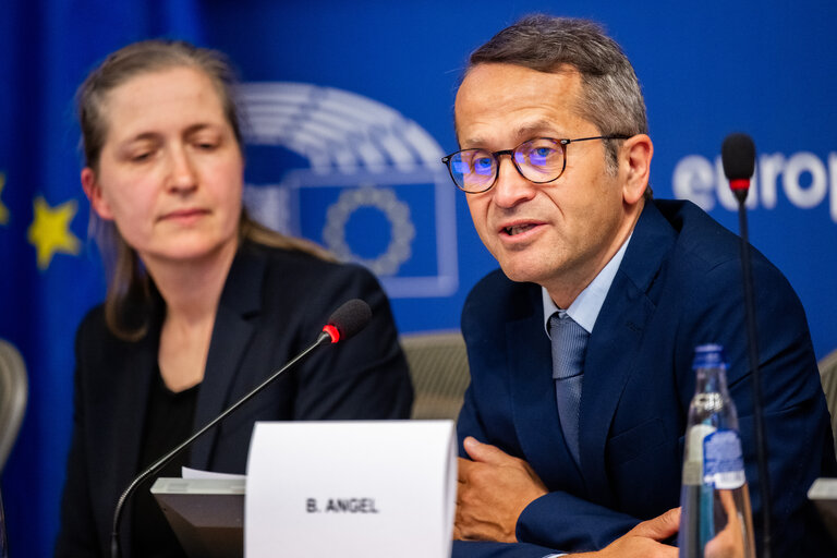 FISC - Public hearing on ' The implementation of the 2 Pillar framework in view of international developments and the EU-US relations '
